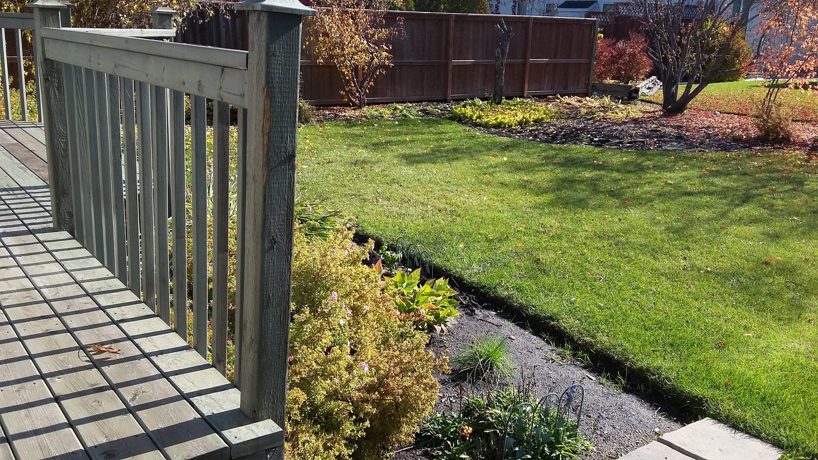 20191017_132038 clean up