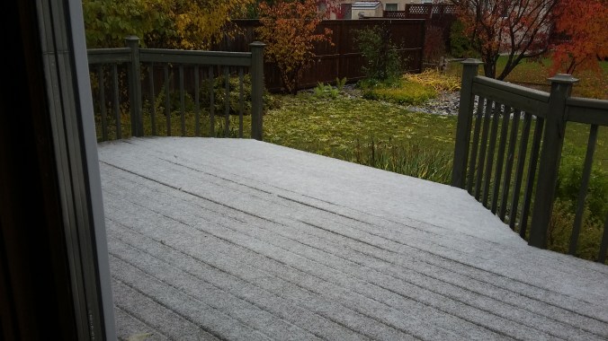 Backyard 20191010_143240